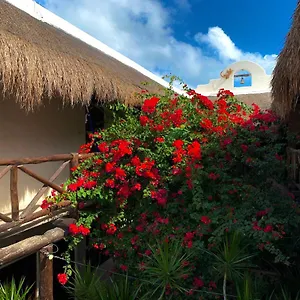 https://lo-nuestro-petit-hotel.tulum-hotels.net